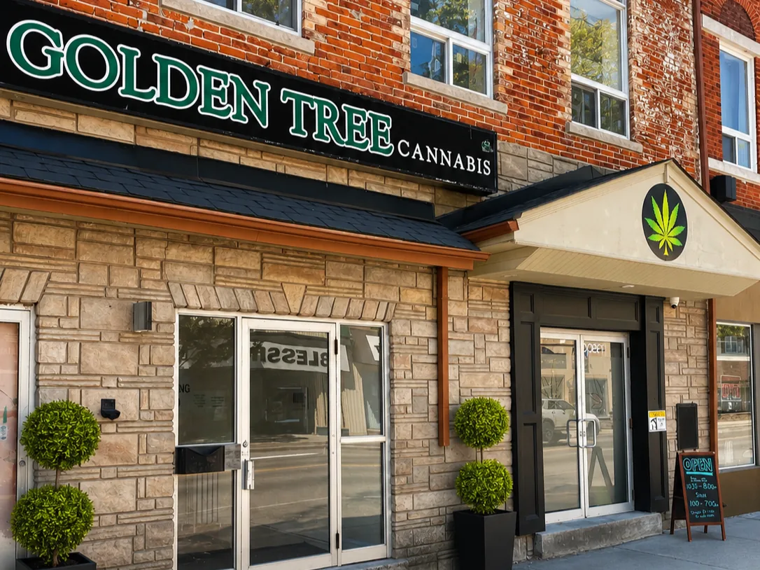 Golden Tree Cannabis Palmerston